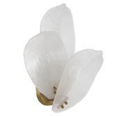 Bright Sea Lighting Lucius Wall Sconces