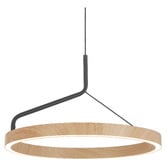 Bright Sea Lighting Cassian Metal LED Pendant Light