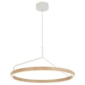 Bright Sea Lighting Cassian Metal LED Pendant Light
