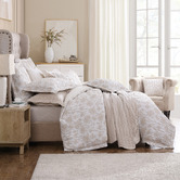 Private Collection Bloom Cotton Quilt Cover Set