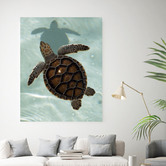 Arthouse Collective Love Turtle Printed Wall Art