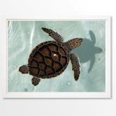 Arthouse Collective Love Turtle Printed Wall Art