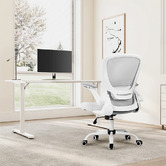Aerocool Eureka OC06 Onyx Office Chair