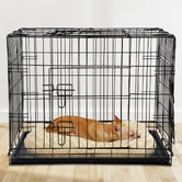 Dwell Home Duke Foldable Pet Cage