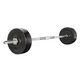 Dwell Home Reeves 28kg Barbell