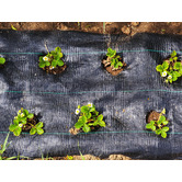 Dwell Home Darcy Weed Control Mat