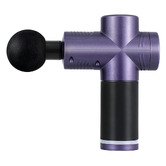 Dwell Home Pavi Massage Gun