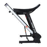 Dwell Home Ricci Foldable Electric Treadmill