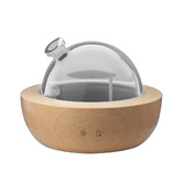 Dwell Home 200ml LED Glass Aroma Diffuser