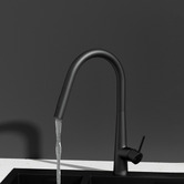 Dwell Home Arthur Swivel Pull-Out Kitchen Mixer