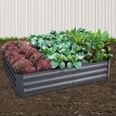Dwell Home Kelly VI Garden Beds