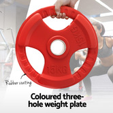 Dwell Home Orson 15kg Weight Plate