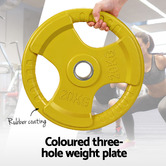 Dwell Home Orson 20kg Weight Plate