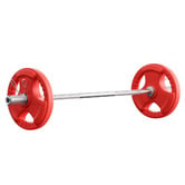 Dwell Home Orson 36kg Barbell