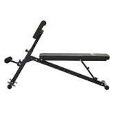 Dwell Home Lioren Adjustable  Roman Chair