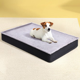 Dwell Home Persia Pet Bed