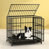 Dwell Home Medea Dog Cage