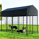 Dwell Home Shiva Dog Kennel