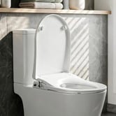 Dwell Home Cefito D-Shape Non-Electric Toilet Seat