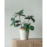 Chartwell Home Vintage-Style Ceramic Vase