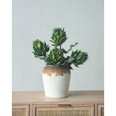 Chartwell Home Vintage-Style Ceramic Vase