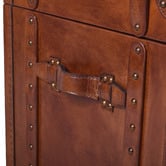 Chartwell Home Jeremiel Aged Cowhide Storage Trunk