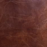 Chartwell Home Austin Aged Cowhide Leather Armchair