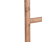 Chartwell Home Paviel Recycled Elm Wood Decorative Ladder