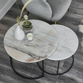 Maddison Lane 2 Piece Courtney Marble Nesting Coffee Table Set | Temple ...