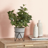 Maddison Lane 39cm Potted Faux Ivy  Plant