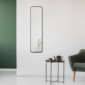 Maddison Lane Elle Rectangular Stainless Steel Wall Mirror