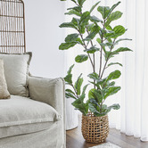 Maddison Lane 150cm Potted Faux Fiddle Leaf Tree