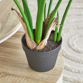 Maddison Lane 120cm Potted Faux Monstera Plant