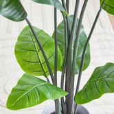 Maddison Lane 180cm Potted Faux Banana Leaf Plant