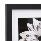 Maddison Lane Black Calla Wood Photo Frames