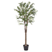 Maddison Lane 170cm Potted Faux Olive Tree