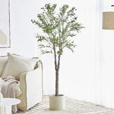 Maddison Lane 170cm Potted Faux Olive Tree