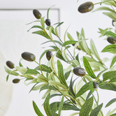 Maddison Lane 170cm Potted Faux Olive Tree