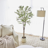 Maddison Lane 170cm Potted Faux Olive Tree