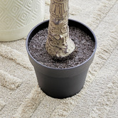 Maddison Lane 170cm Potted Faux Olive Tree