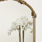 Maddison Lane Ephrem Baroque Metal Full Length Mirror