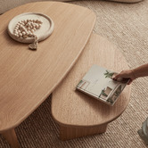 Maddison Lane 2 Piece Fallyn Nesting Coffee Table Set