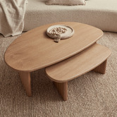 Maddison Lane 2 Piece Fallyn Nesting Coffee Table Set