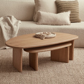 Maddison Lane 2 Piece Fallyn Nesting Coffee Table Set