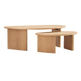 Maddison Lane 2 Piece Fallyn Nesting Coffee Table Set