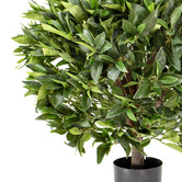 pollen &amp; fauna 75cm Potted Faux Bay Leaf Topiary