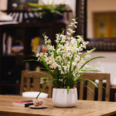 pollen &amp; fauna 78cm Faux Cream Dancing Lady Orchid Plant in Ceramic Pot