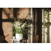 pollen &amp; fauna 78cm Faux Cream Dancing Lady Orchid Plant in Ceramic Pot