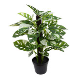 pollen &amp; fauna 46cm Potted Faux Monstera Adansonia on Pole