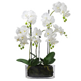 pollen &amp; fauna 70cm Potted Faux Orchid Plant